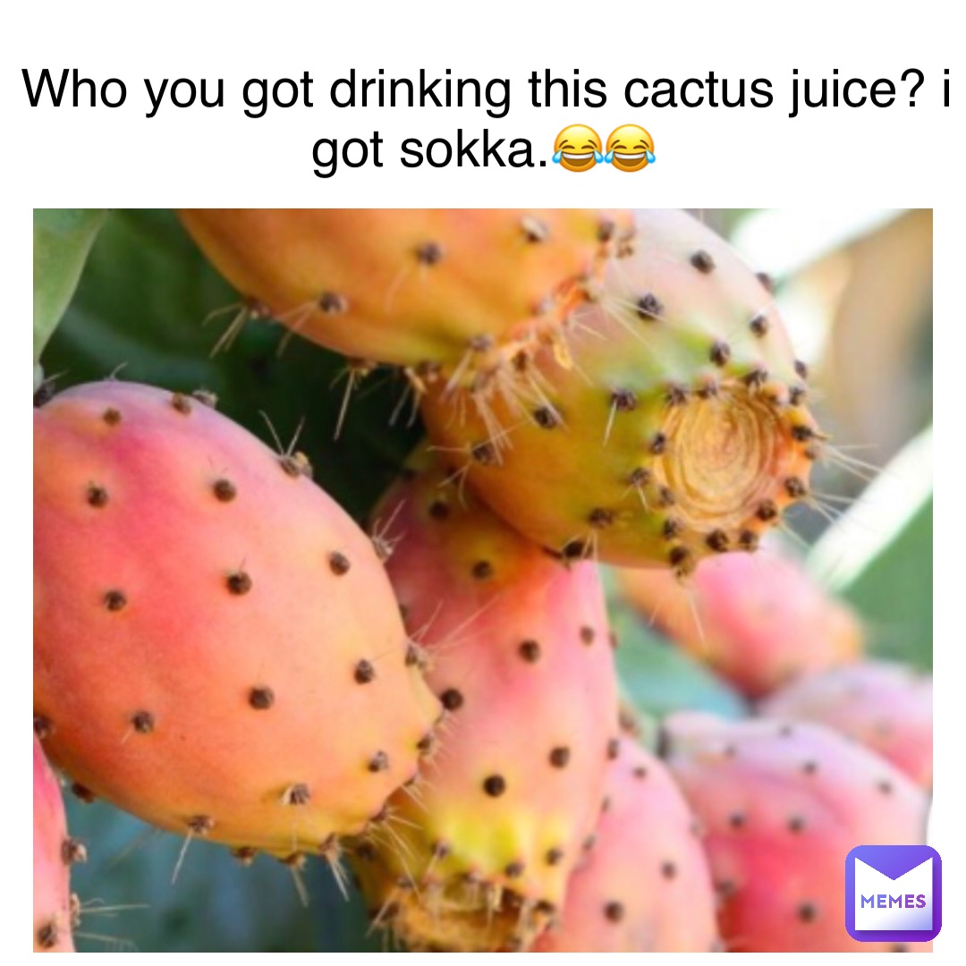 Who you got drinking this cactus juice? I got Sokka.😂😂