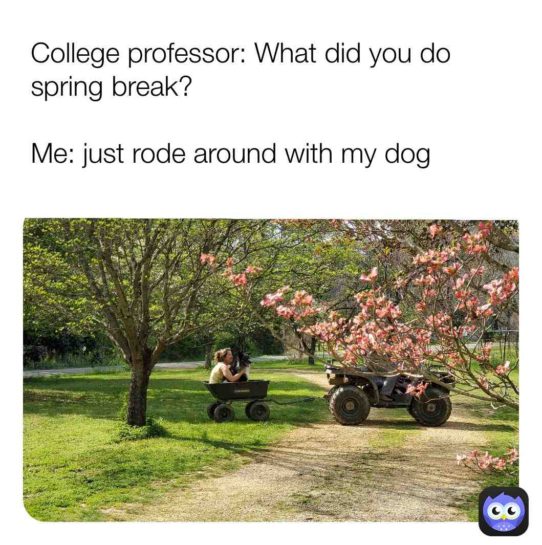 Meme shared by @SLowery