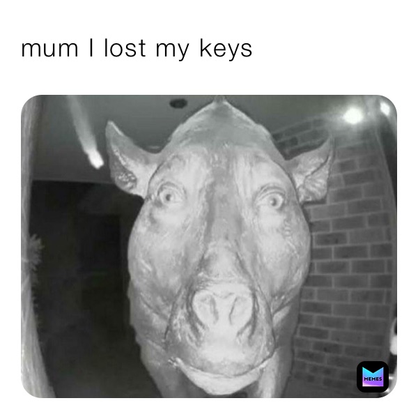 mum I lost my keys