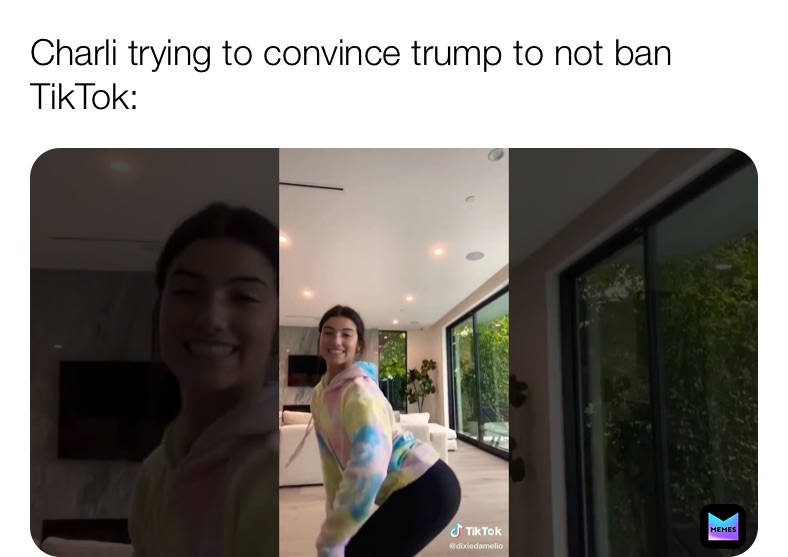 Meme by kedamono_nokawa