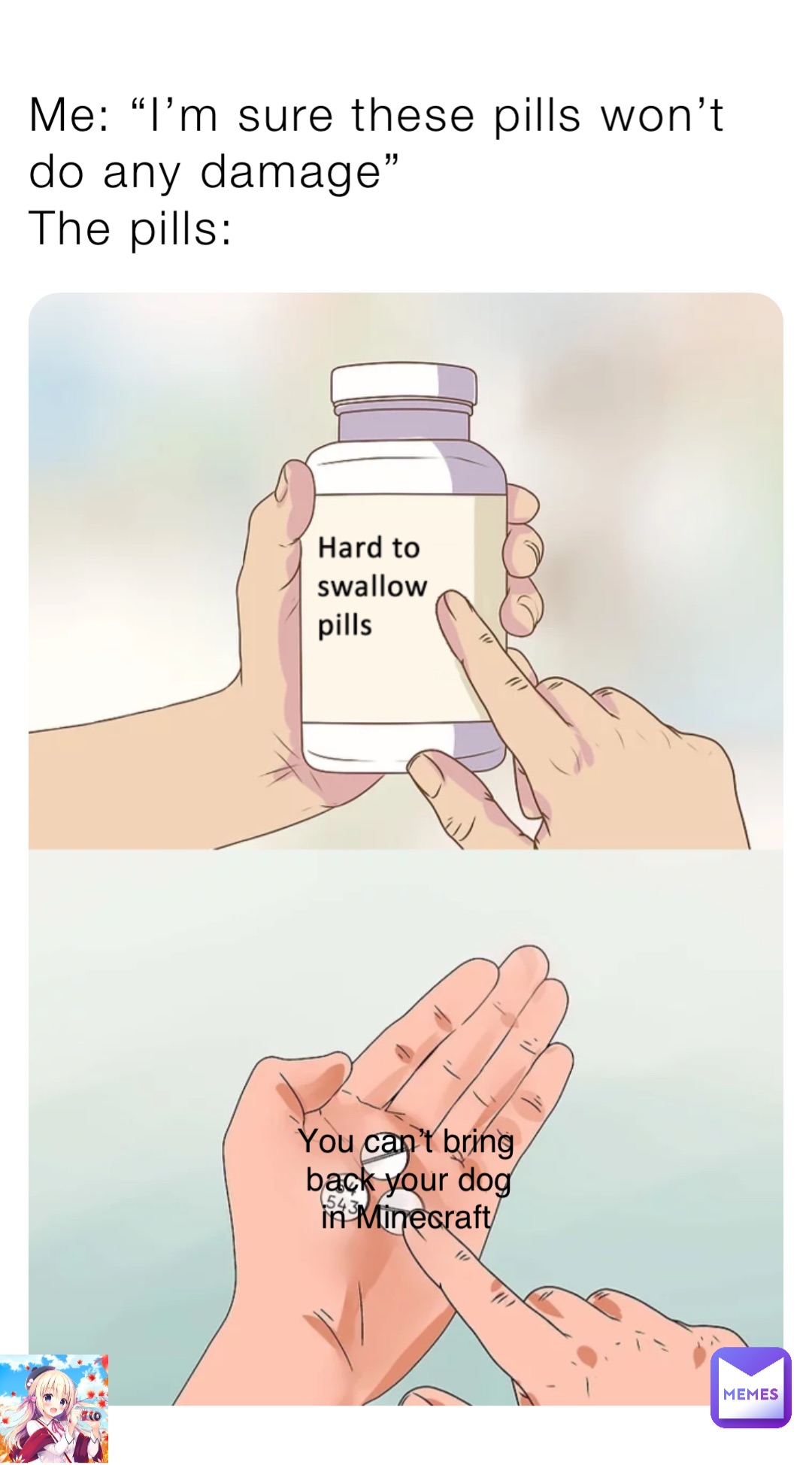 Me: “I’m sure these pills won’t do any damage”
The pills: You can’t bring back your dog in Minecraft