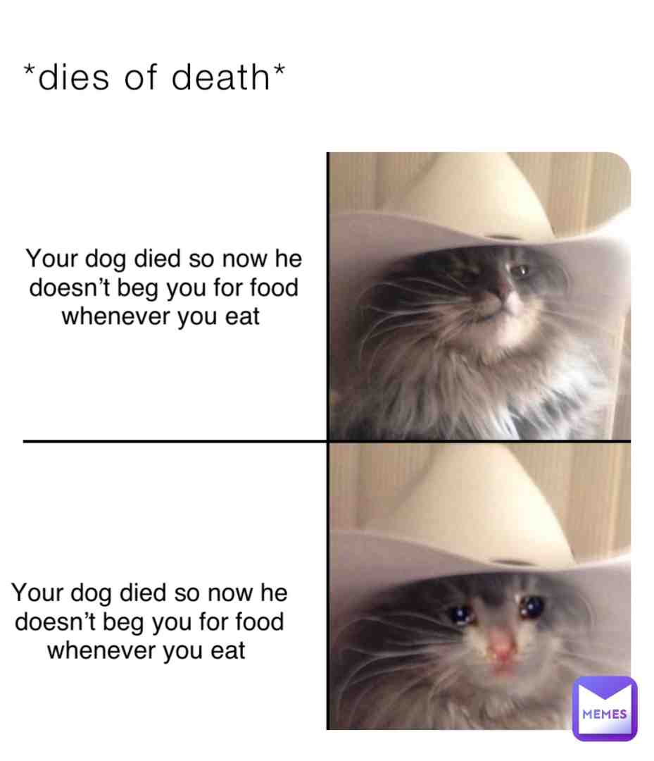 Meme shared by @Spooky_weeb