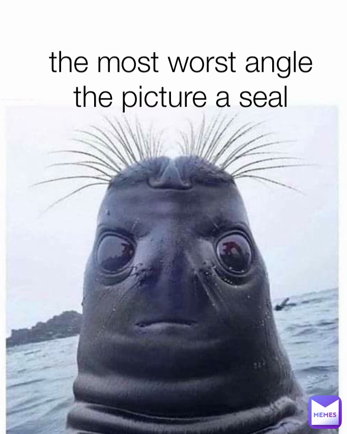the most worst angle the picture a seal