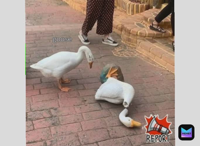 Meme by amongus.memes