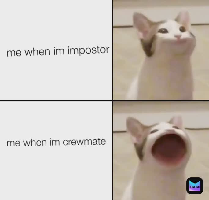 Meme by amongus.memes