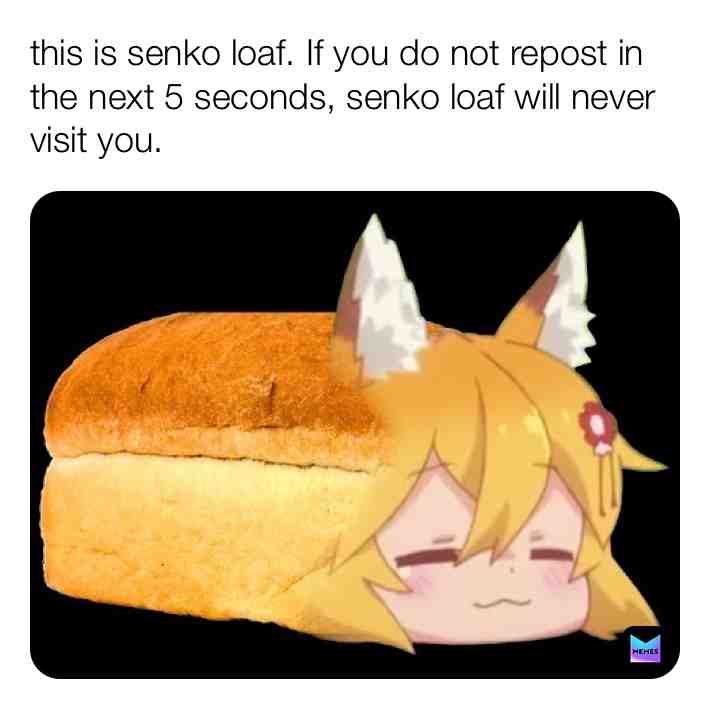  #the_fox_post