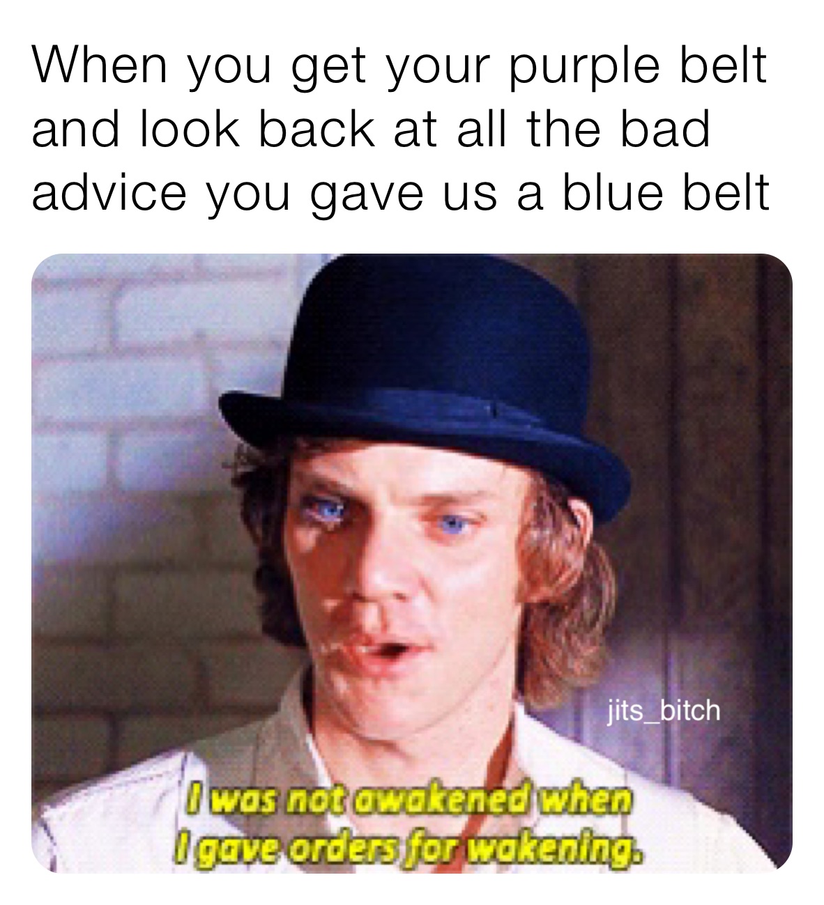 When you get your purple belt and look back at all the bad advice you gave us a blue belt