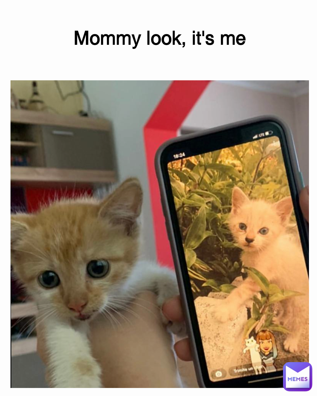 Meme by andreipaulpetrache