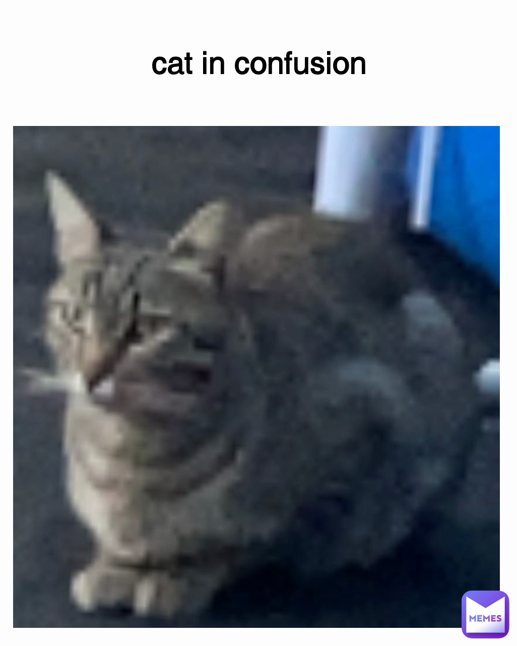 Meme by andreipaulpetrache