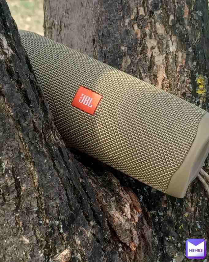 Your phone connected to my JBL Flip 5 via Bluetooth. What will you play?
