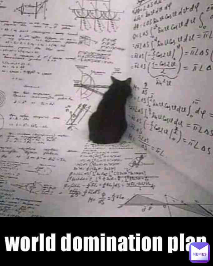 My cats nuts #funny #funnymemes #memes #meme #memesdaily #lol #lmao #haha #dailymemes #hilarious