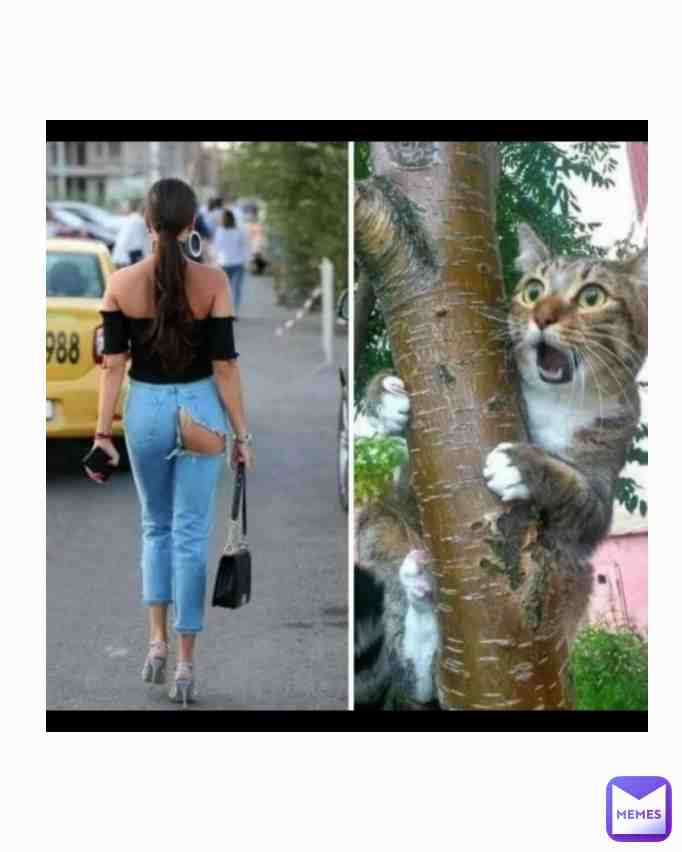 Fun at the park #funny #funnymemes #memes #meme #memesdaily #lol #lmao #haha #dailymemes #hilarious