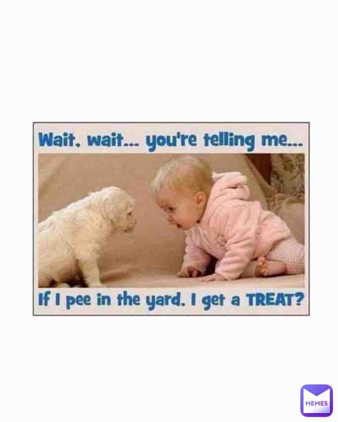 #funny #funnymemes #memes #meme #memesdaily #lol #lmao #haha #dailymemes