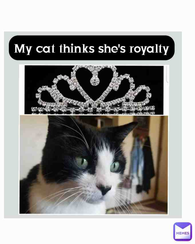 #funny #memes #funnymemes #memes