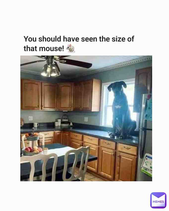 #funny #funnymeme #meme #funnymemes #memes #memesdaily #lol #haha #dailymemes #memesdaily #lmao #lmfao