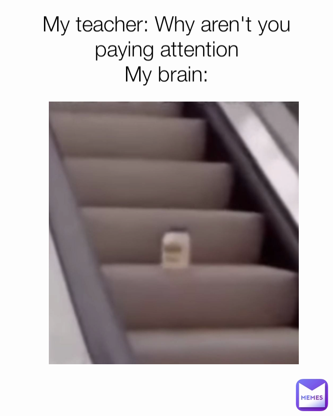 Meme by thiccfelinememes