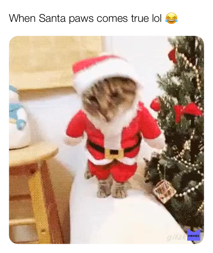 Lol 😂😂😂😂