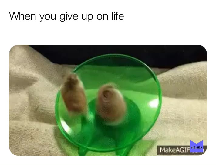 Me when I try something 100000000000000000000 times and fail 😴😴😴😴