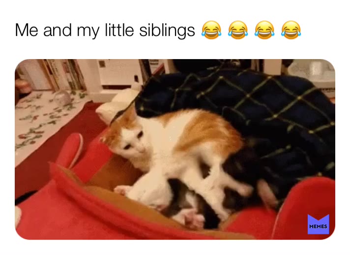 My siblings are legitimately sooooooooooooooooo annoying