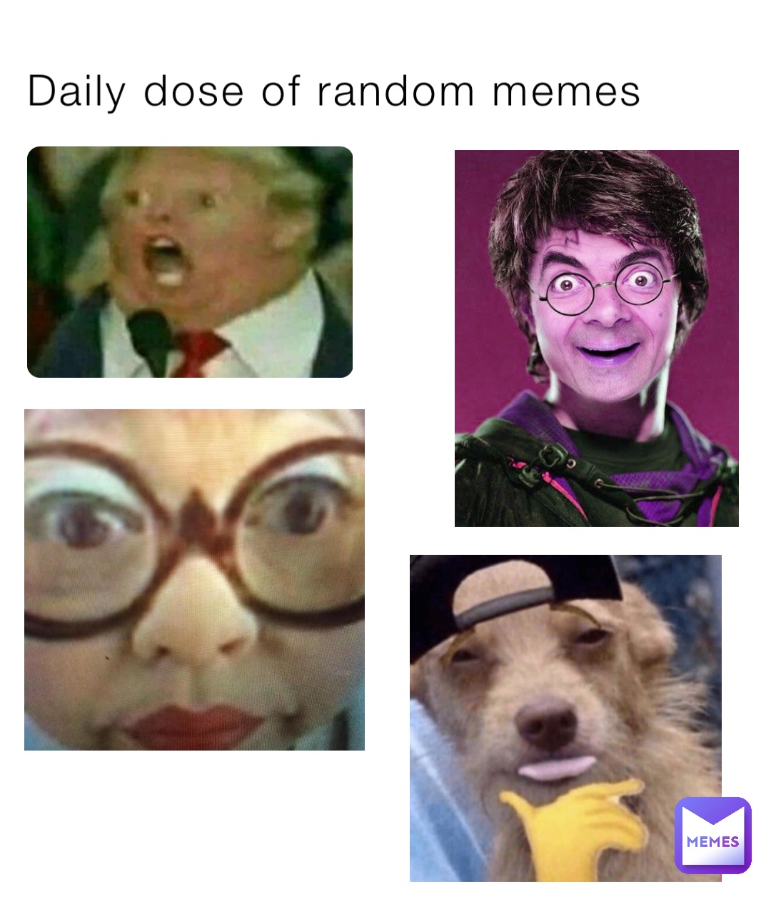 Daily dose of random memes