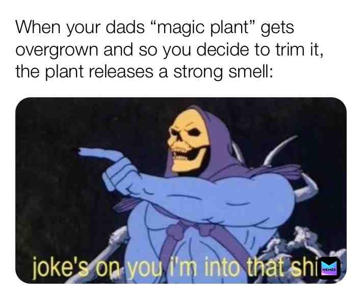 ✨🌱✨  #plants  #memes