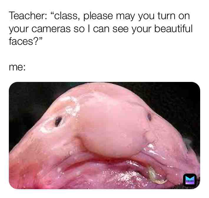 #fyp  #memes ⚠️FOLLOWING BACK⚠️