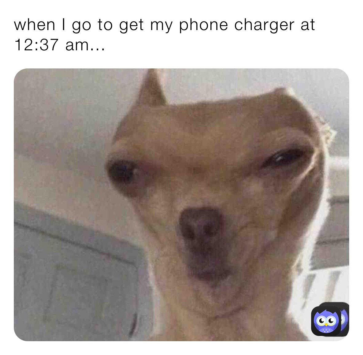 when I go to get my phone charger at 12:37 am...