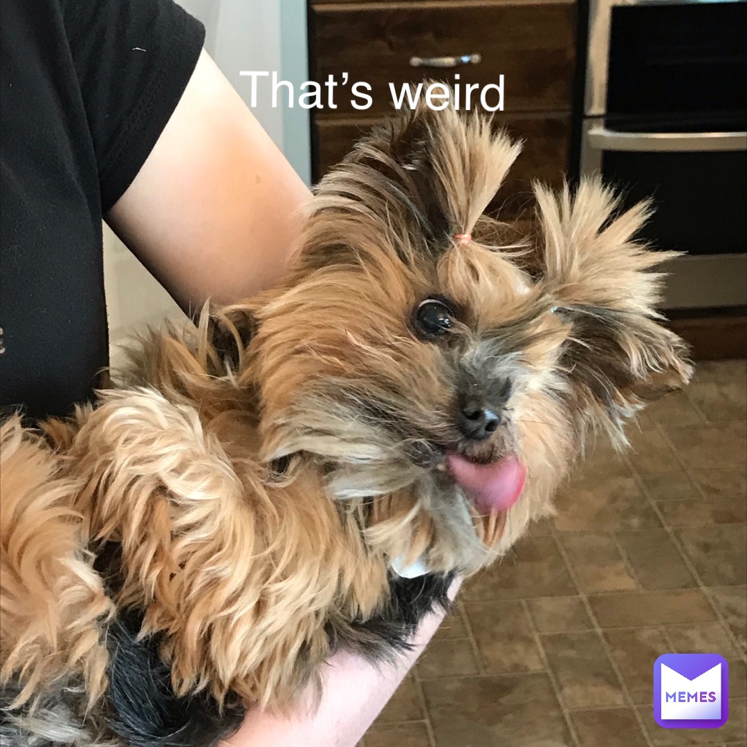 Meme by extra_speial_oso_2