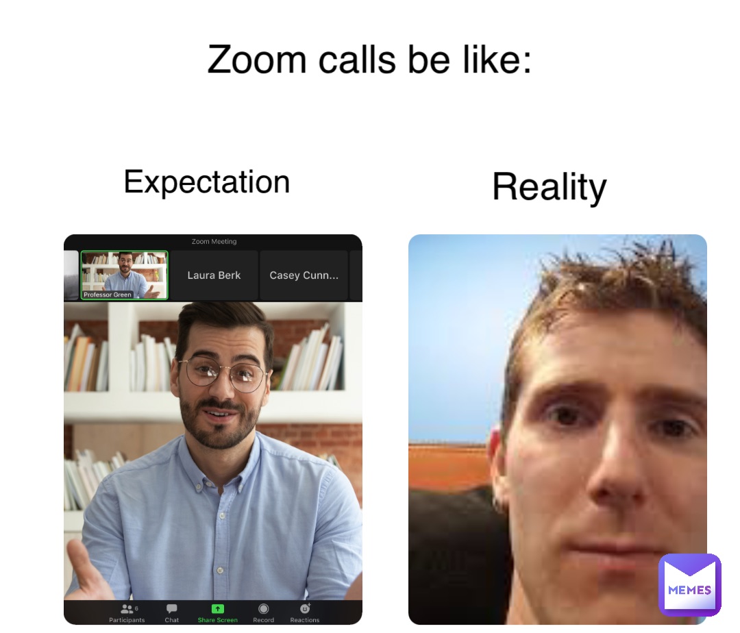 Zoom calls be like: Expectation Reality