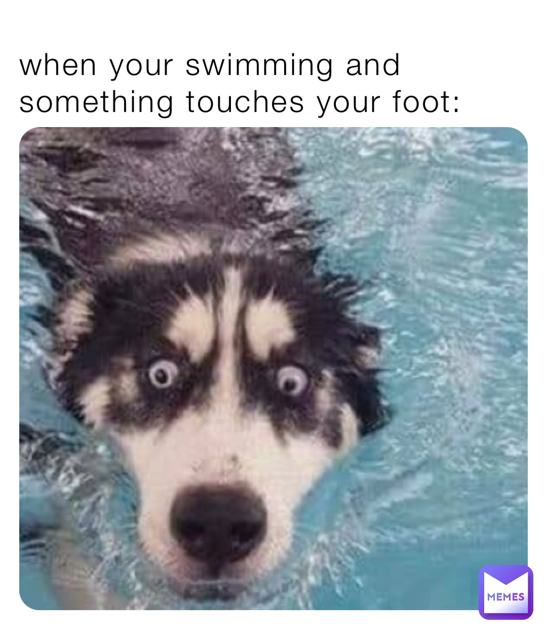 when your swimming and something touches your foot: