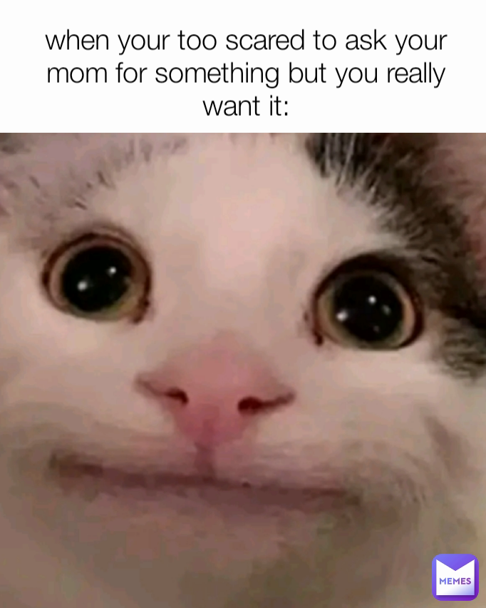 when your too scared to ask your mom for something but you really want it: