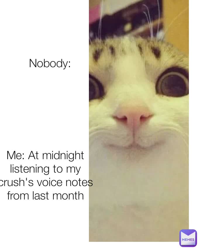 Meme by funnyalltheway