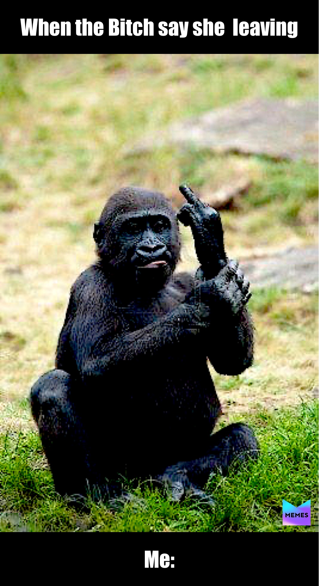 Meme by supremesimpson