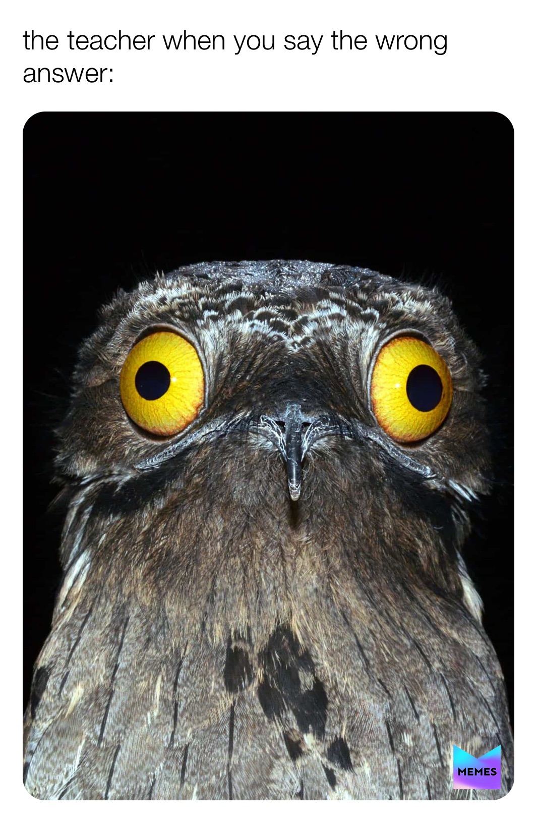 Meme by supremesimpson