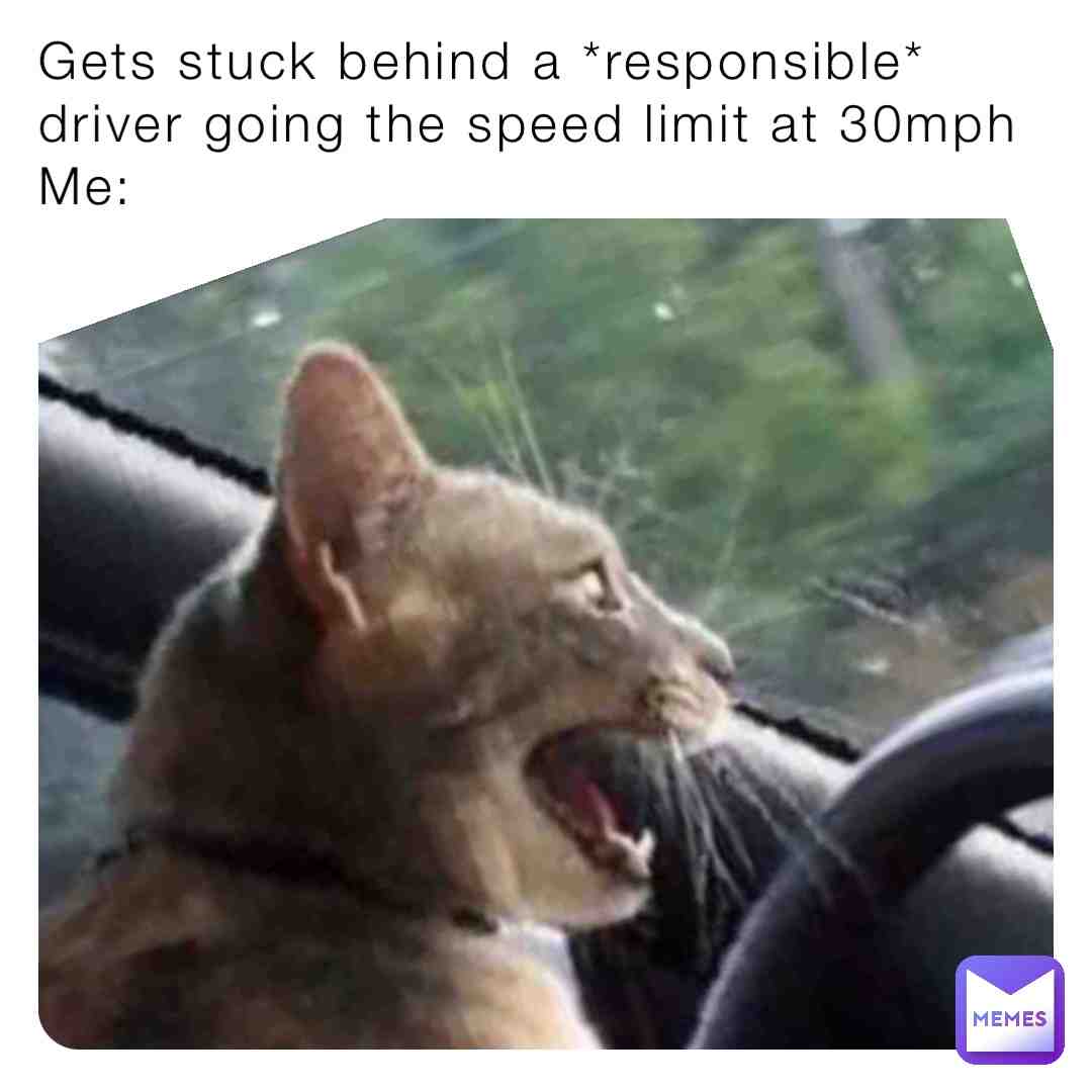 Meme shared by @annoying_tea