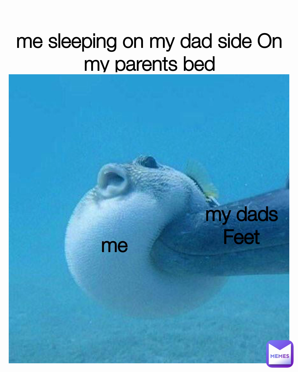 my dads Feet me 
me sleeping on my dad side On my parents bed

me 