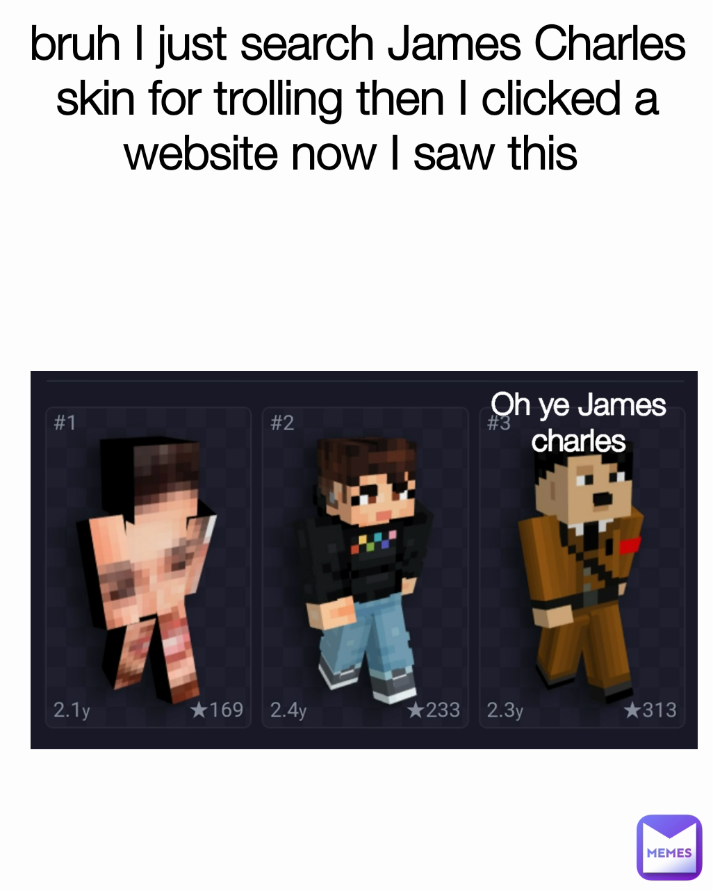 bruh I just search James Charles skin for trolling then I clicked a website now I saw this  Oh ye James charles