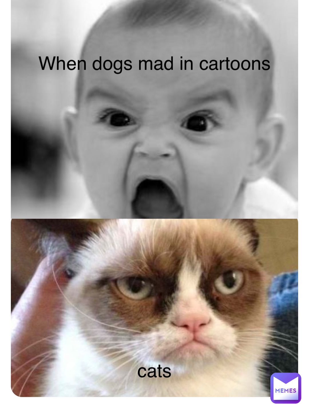 When dogs mad in cartoons cats
