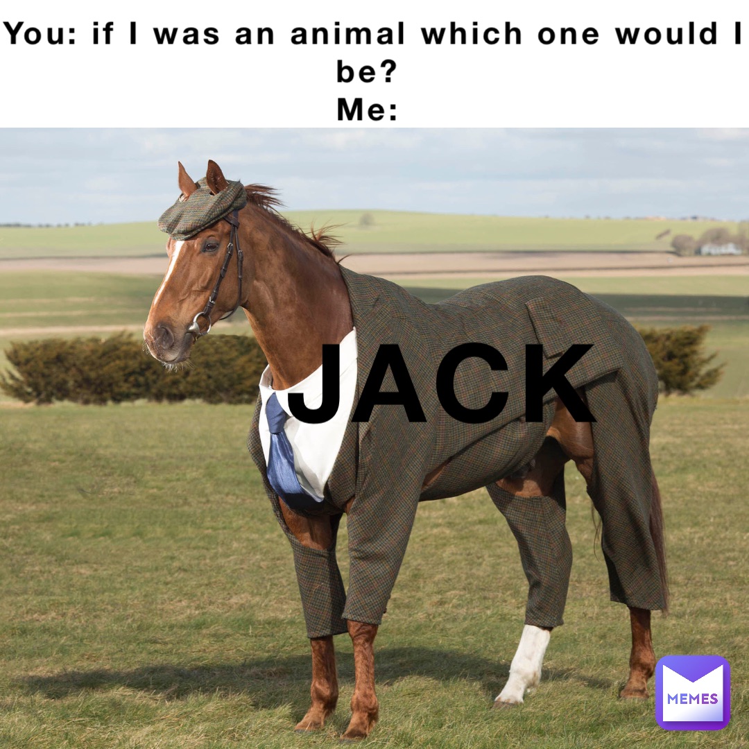 You: if I was an animal which one would I be?
Me: JACK