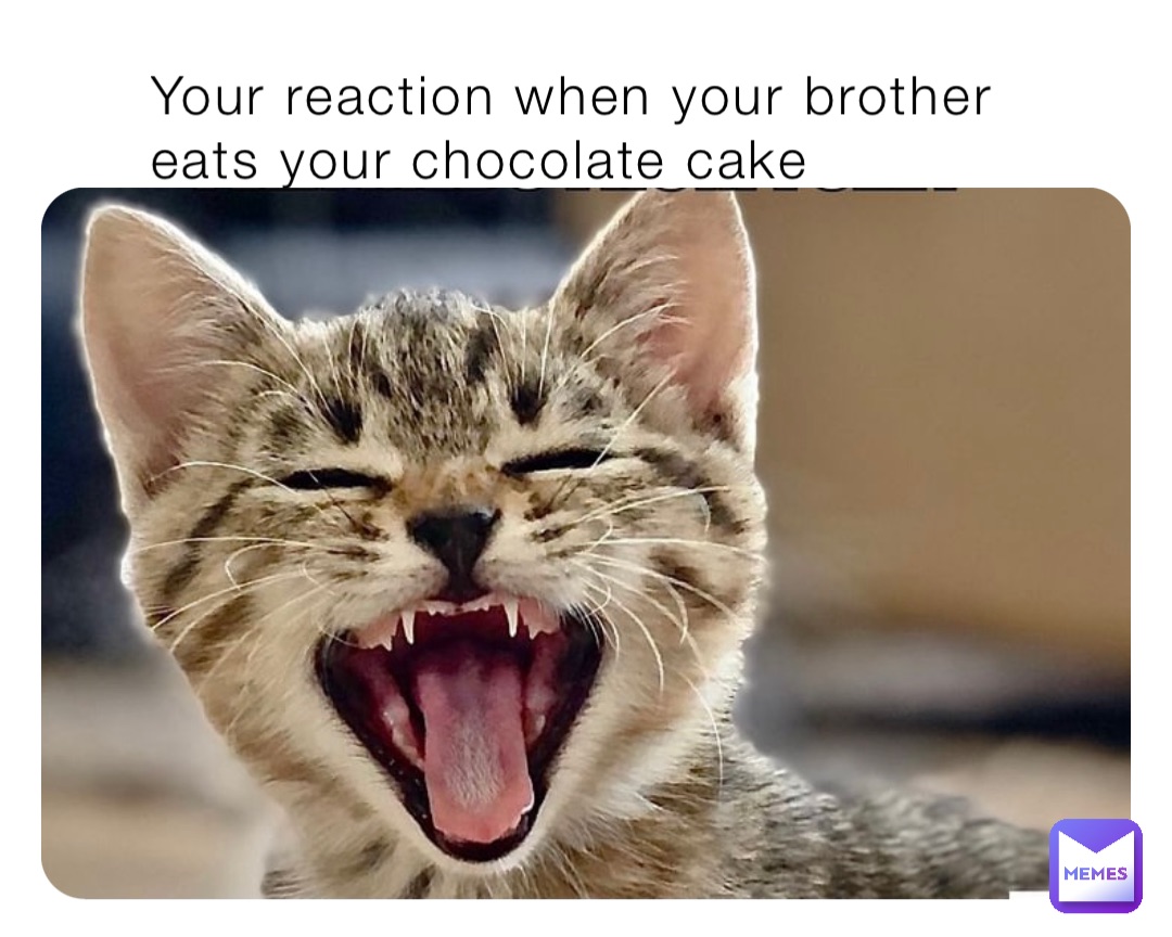 Your reaction when your brother eats your chocolate cake