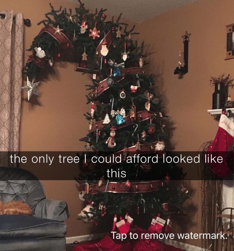 the only tree I could afford looked like this