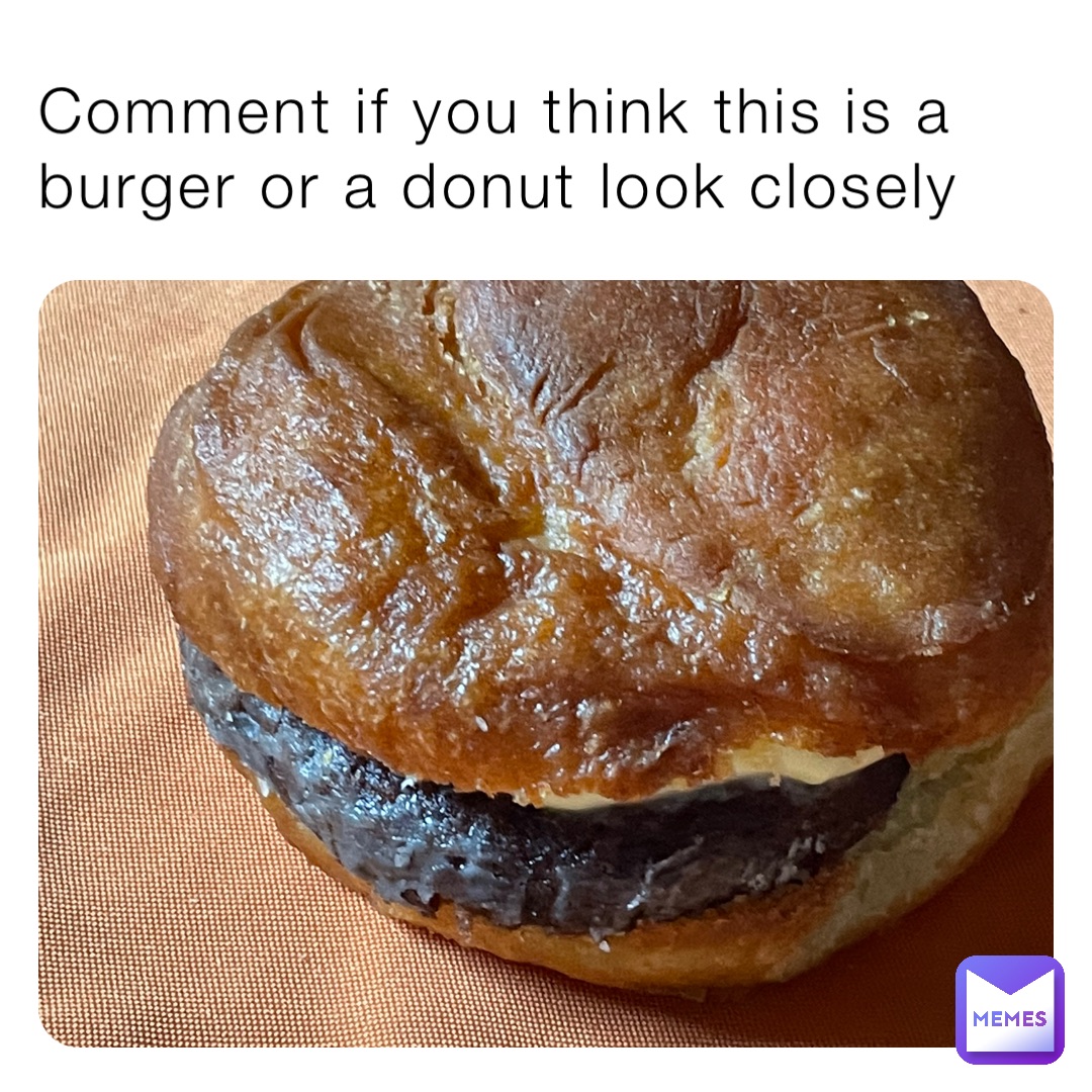 Comment if you think this is a burger or a donut look closely
