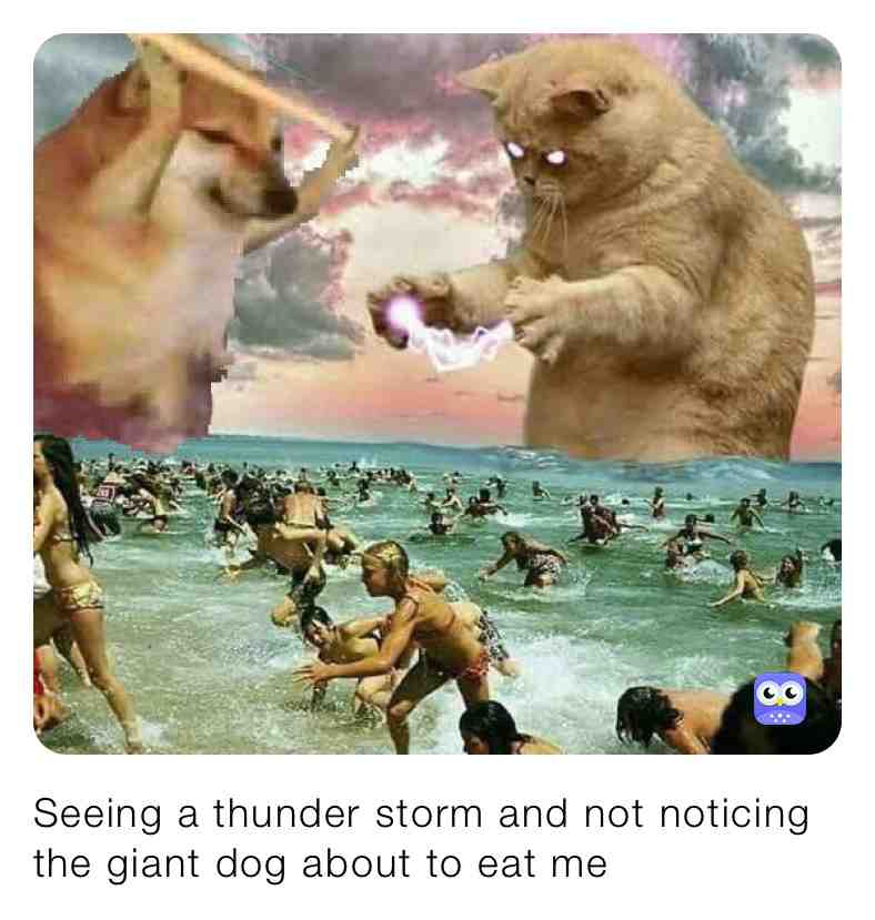 #dogs #bigdog #doge #shrekmemes #kids #babyyoda #ugly #eating #sharks #button #gravityfalls #world #oceanmemes #seamemes #trolledmemesxd