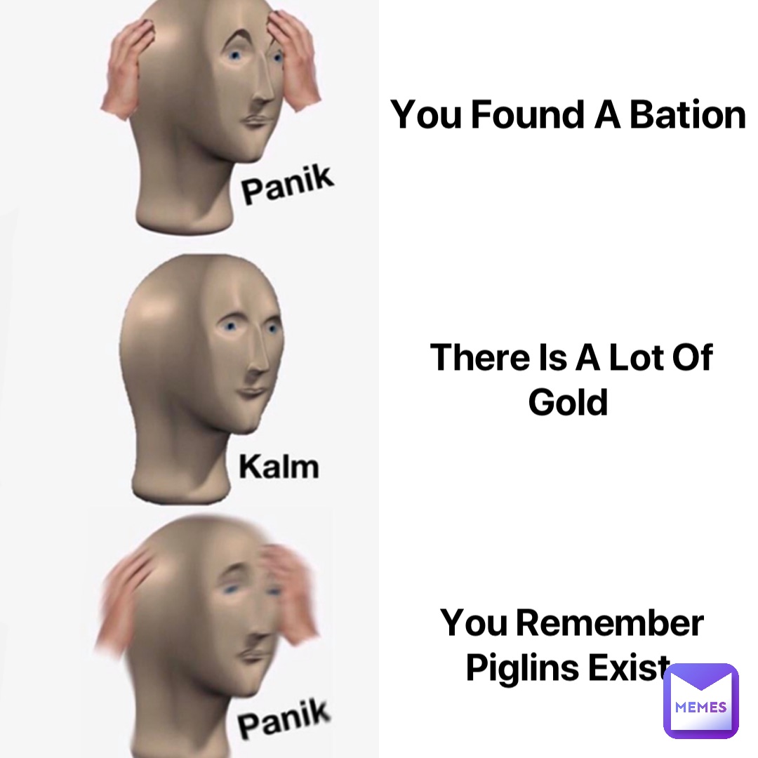 You Found A Bation There Is A Lot Of Gold You Remember Piglins Exist