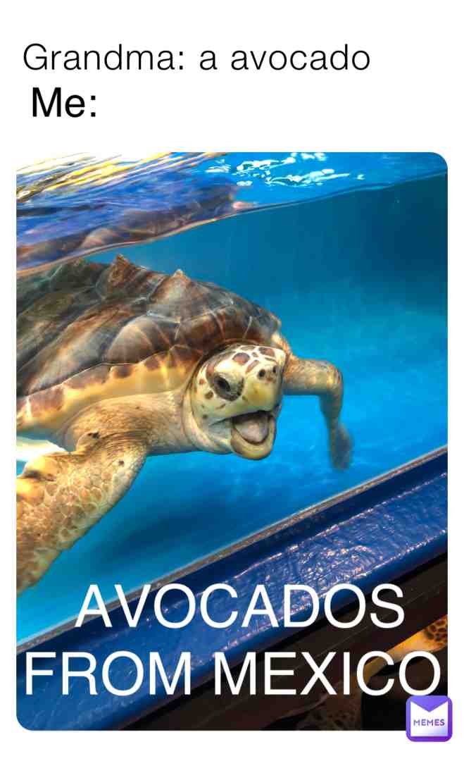 #avacados