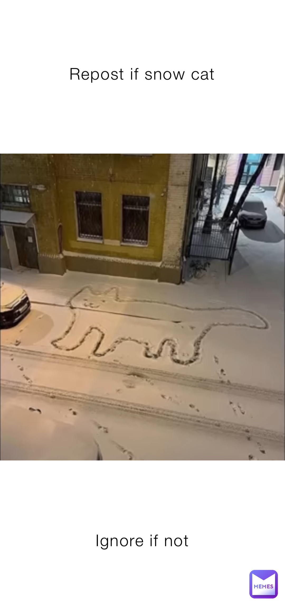 Repost if snow cat Ignore if not
