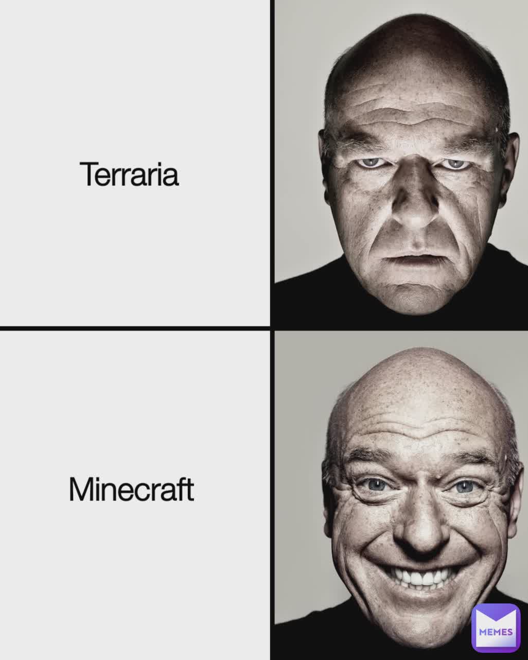 Terraria Minecraft