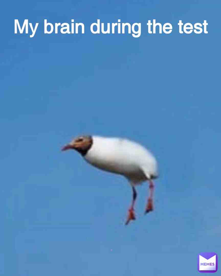 Meme shared by @Memesnack