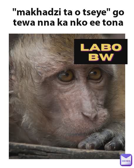 "makhadzi ta o tseye" go tewa nna ka nko ee tona