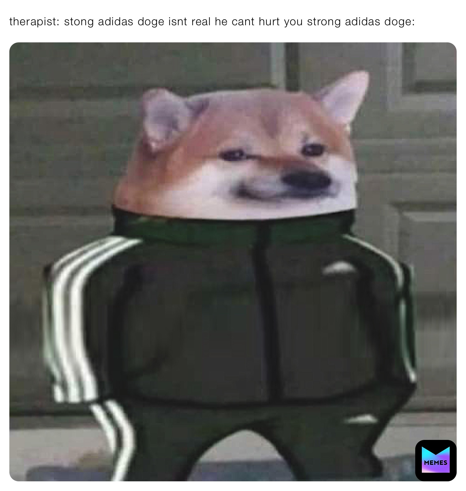 therapist: stong adidas doge isnt real he cant hurt you strong adidas doge: